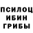 Галлюциногенные грибы GOLDEN TEACHER Johny Wieper