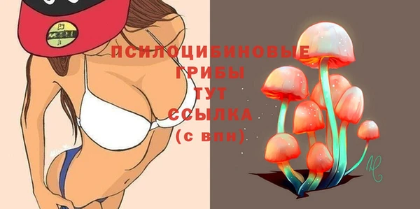 прущий лед Балахна