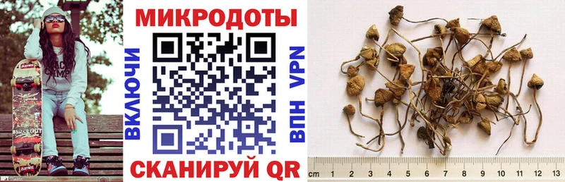 как найти закладки  Минеральные Воды  Псилоцибиновые грибы GOLDEN TEACHER 
