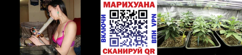 Конопля семена  цена   блэк спрут зеркало  Минеральные Воды 